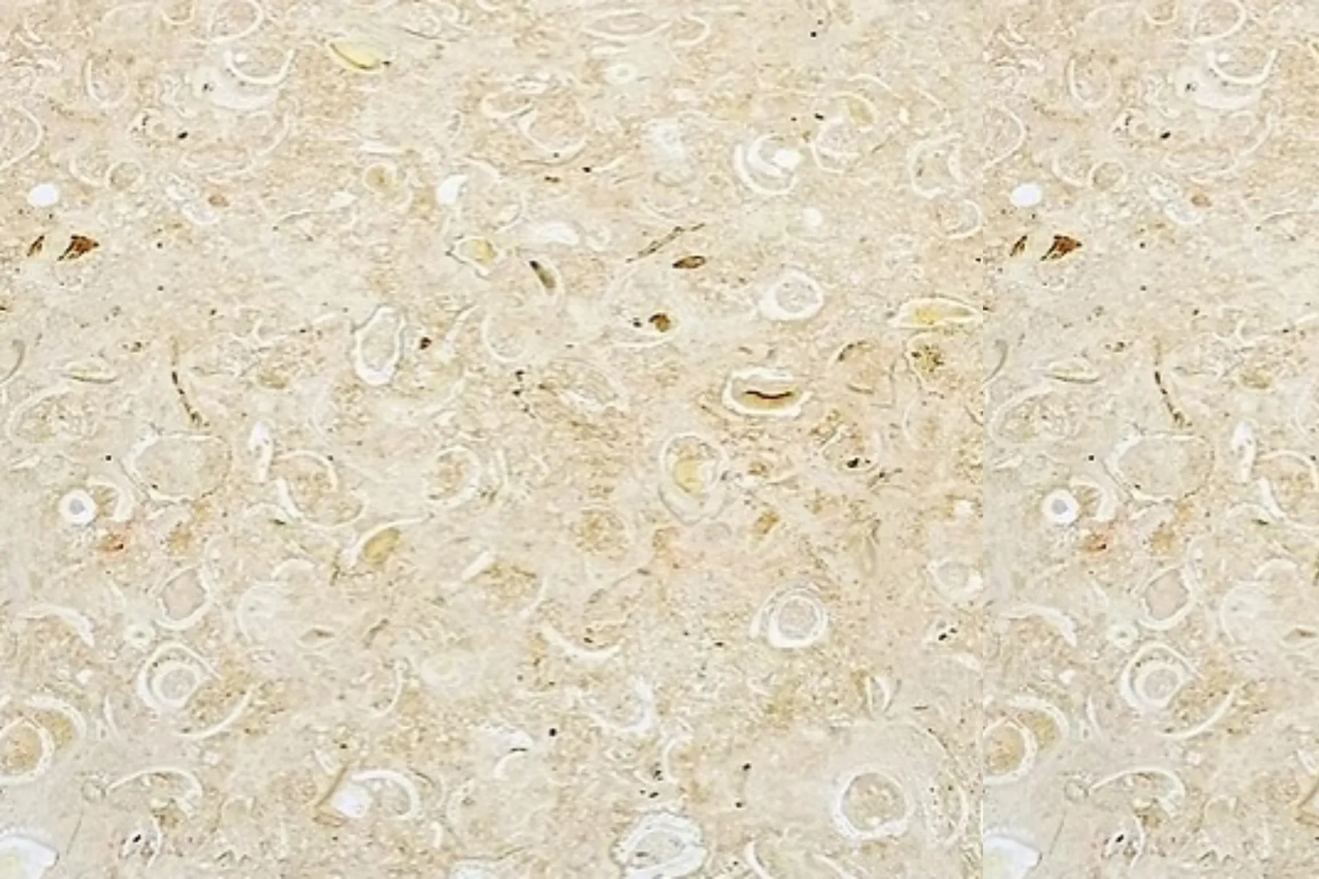 Lantai Diamondcrete